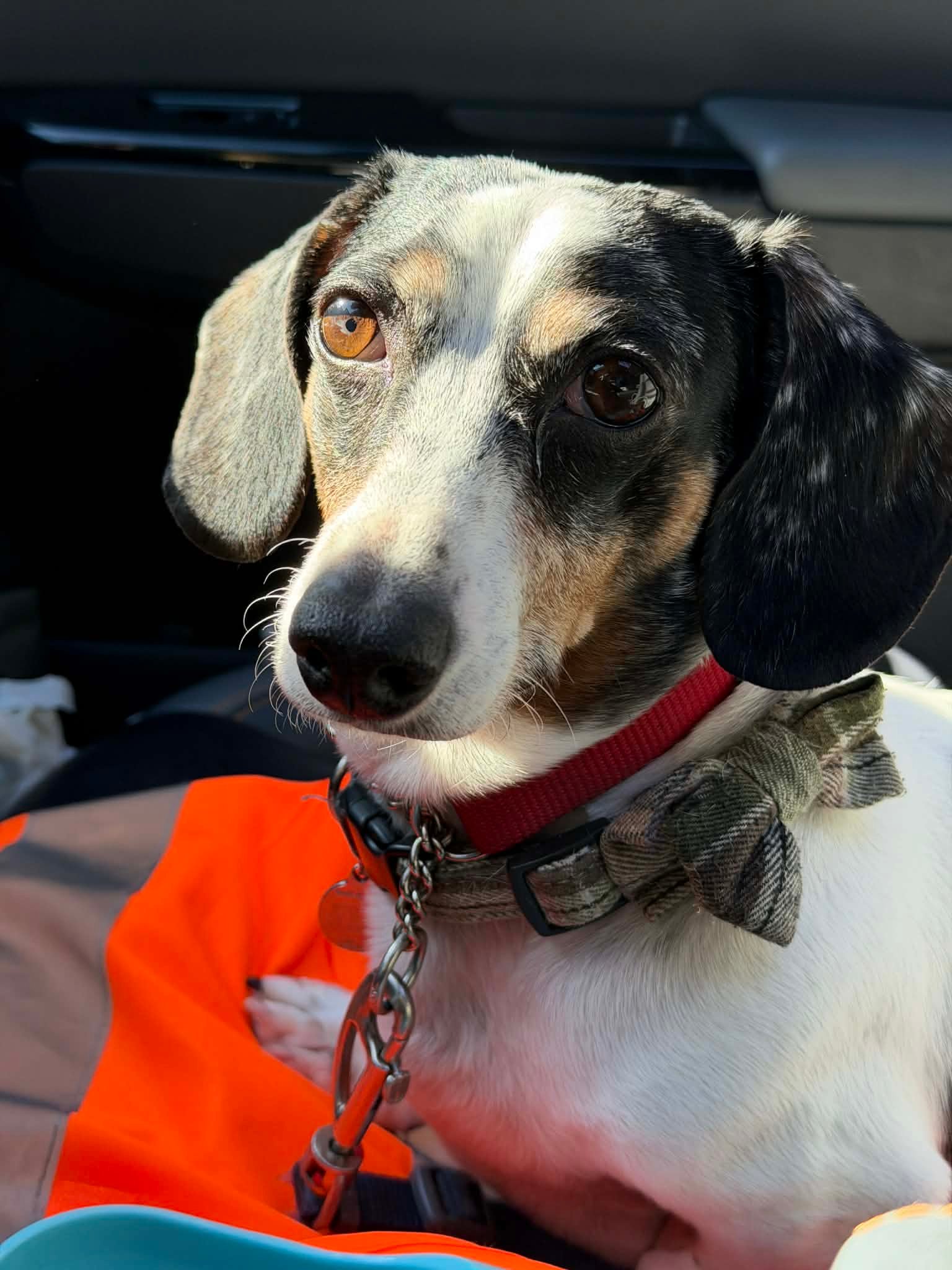 winston